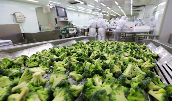 QQ截图20211029170700