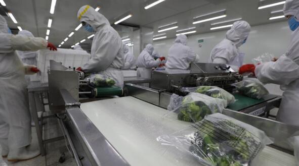 QQ截图20211029170709